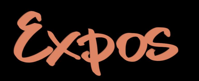 Expos passées 
